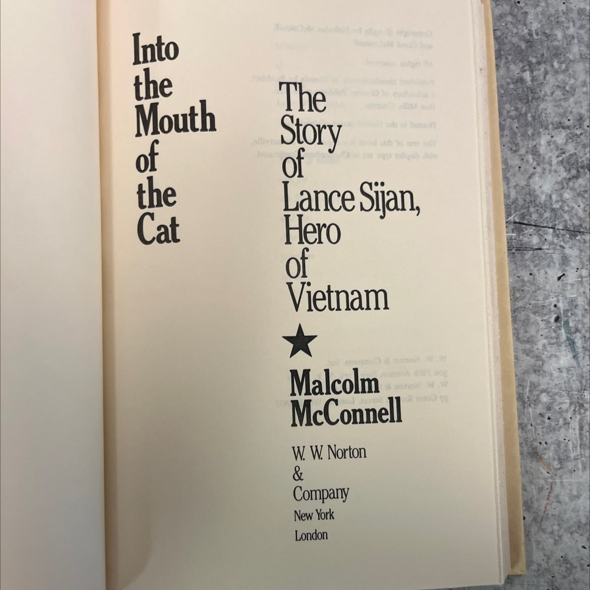 into the mouth of the cat: the story of lance sijan, hero of vietnam book, by malcolm mcconnell, 1985 Hardcover, Vintage image 2