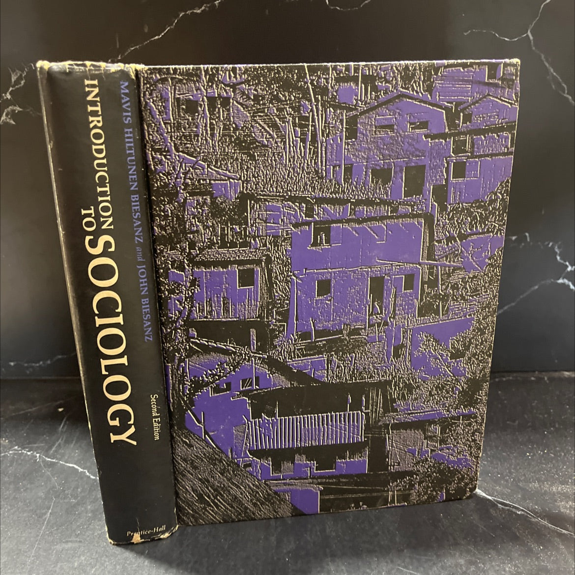 introduction to sociology book, by mavis hiltunen biesanz and john biesanz, 1973 Hardcover image 1