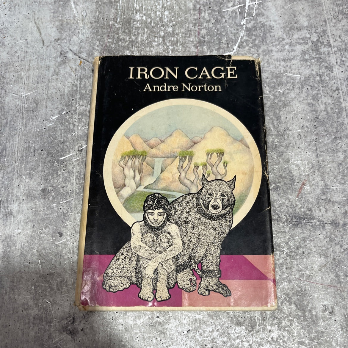 iron cage book, by Andre Norton, 1974 Hardcover image 1
