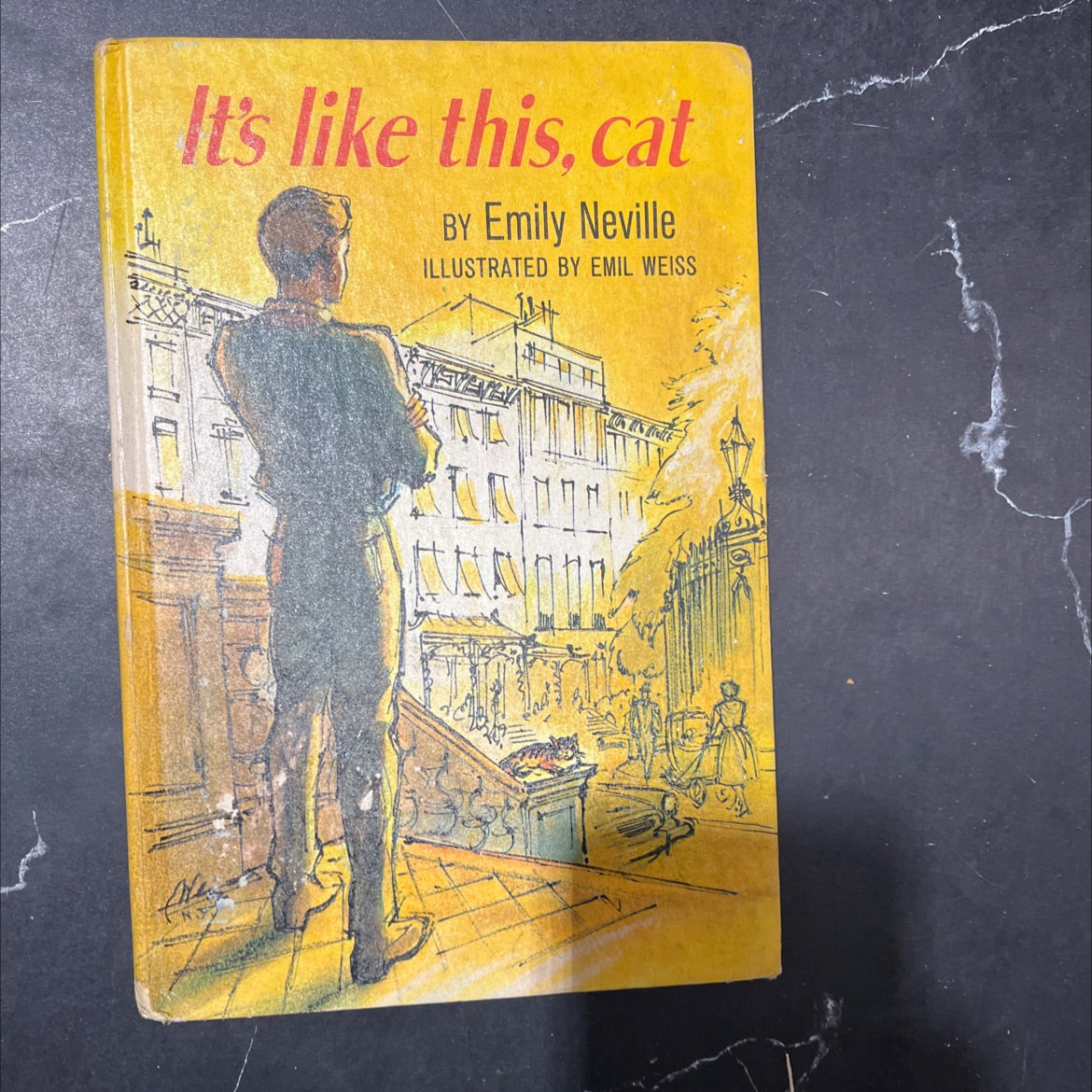 it's like this, cat book, by emily neville, 1963 Hardcover image 1