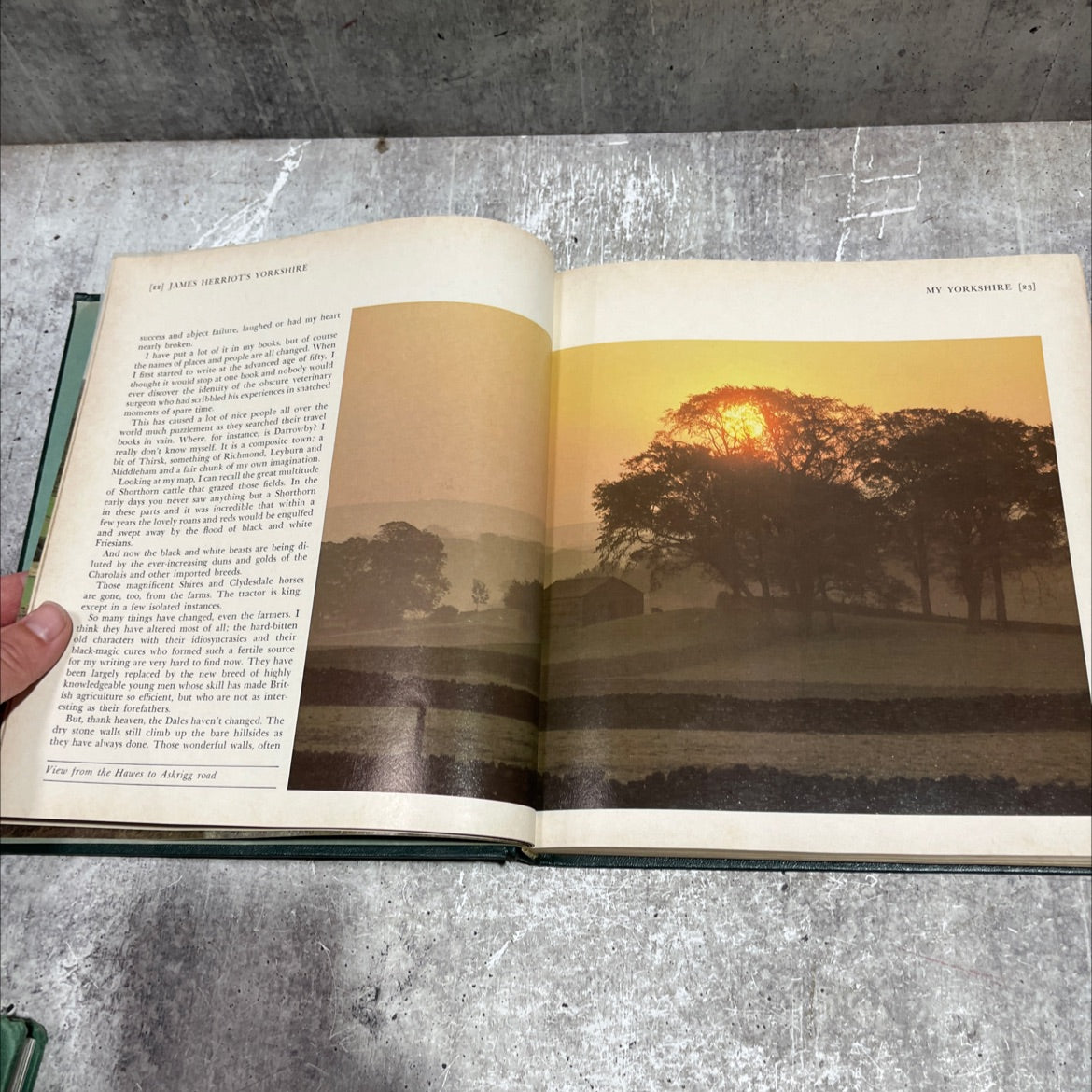 james herriot's yorkshire book, by james herriot, 1979 Hardcover image 4