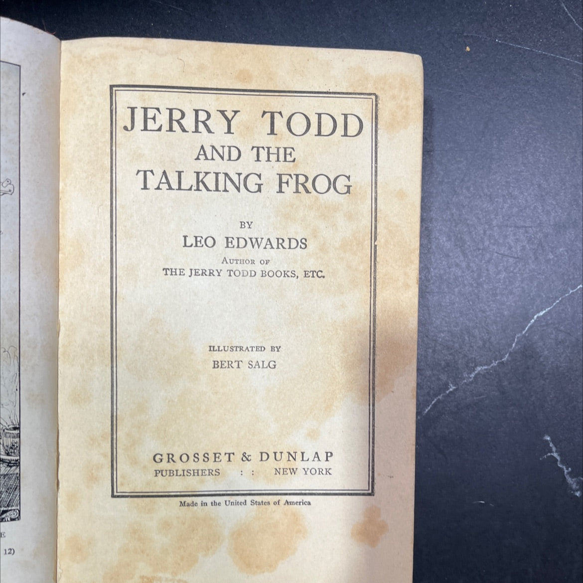 jerry todd and the talking frog book, by leo edwards, 1925 Hardcover image 2