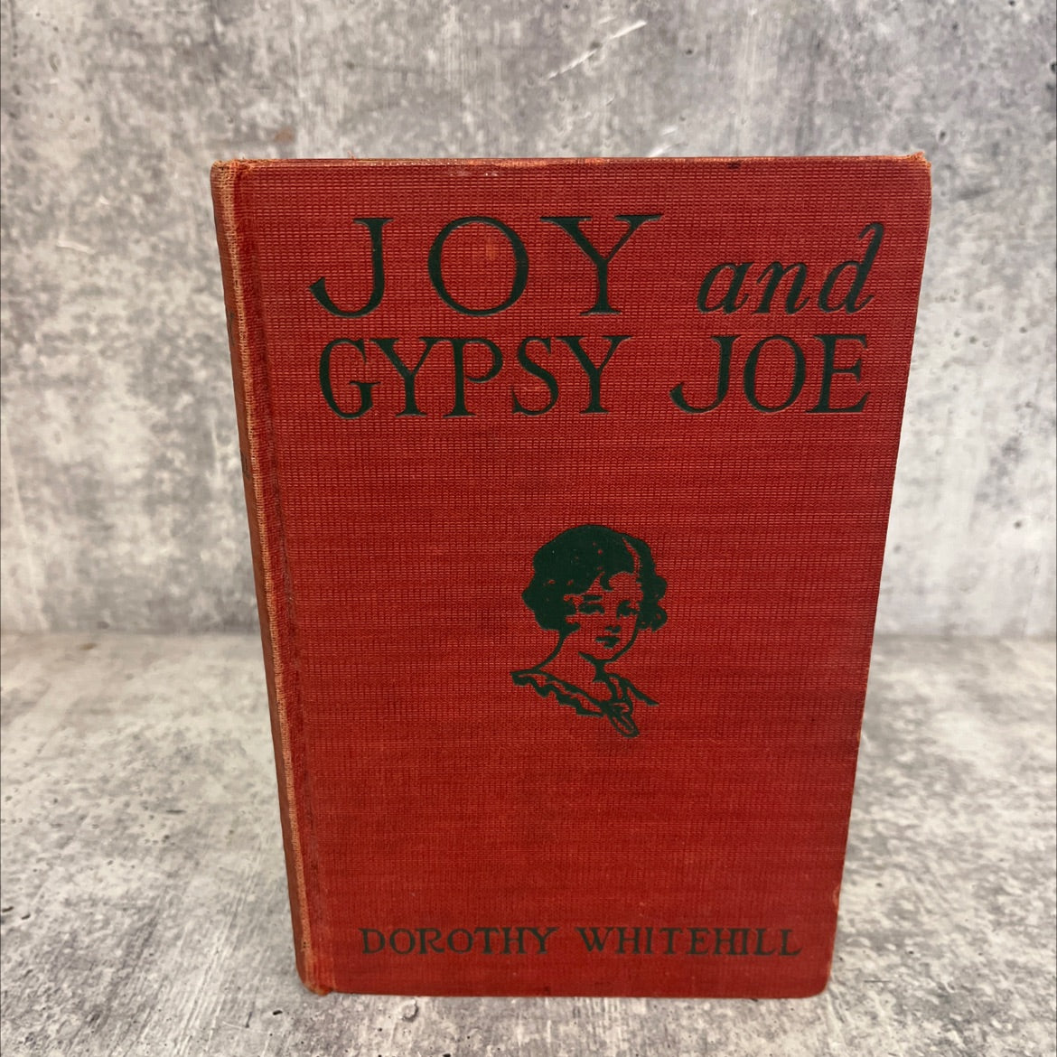 joy and gypsy joe book, by dorothy whitehill, 1927 Hardcover image 1