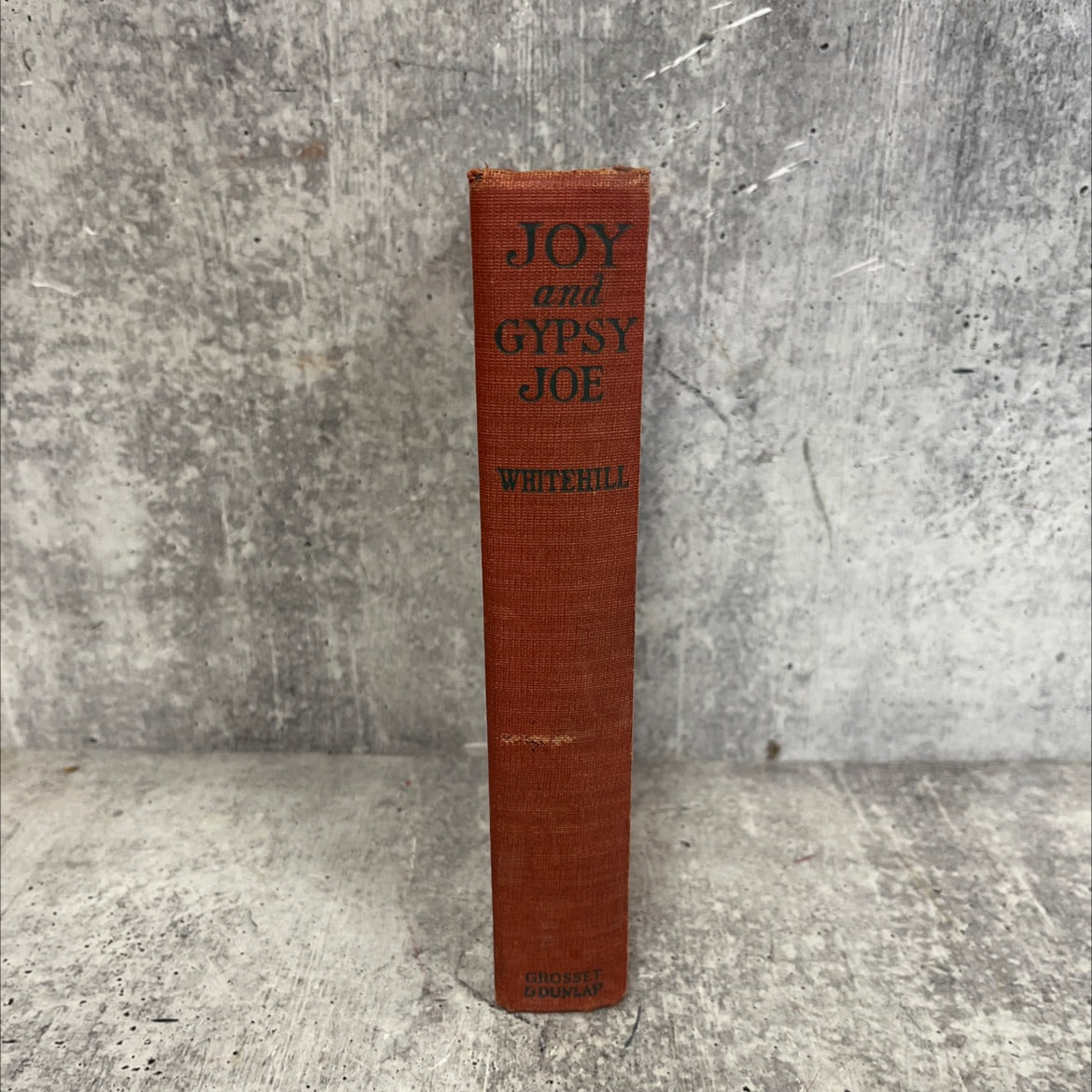 joy and gypsy joe book, by dorothy whitehill, 1927 Hardcover image 4