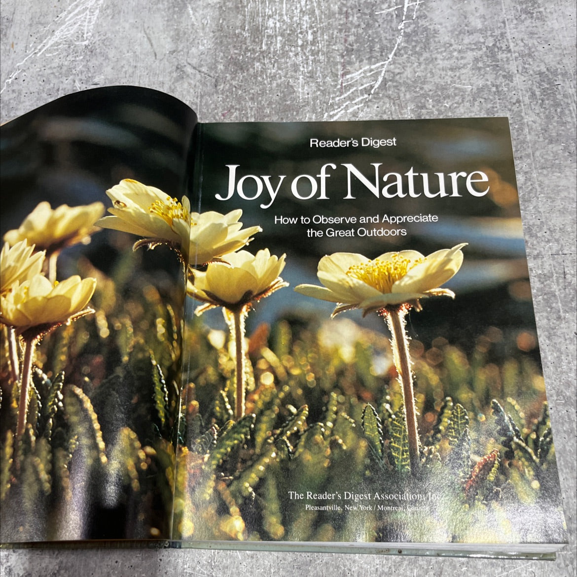 joy of nature how to observe and appreciate the great outdoors book, by unknown, 1977 Hardcover image 2