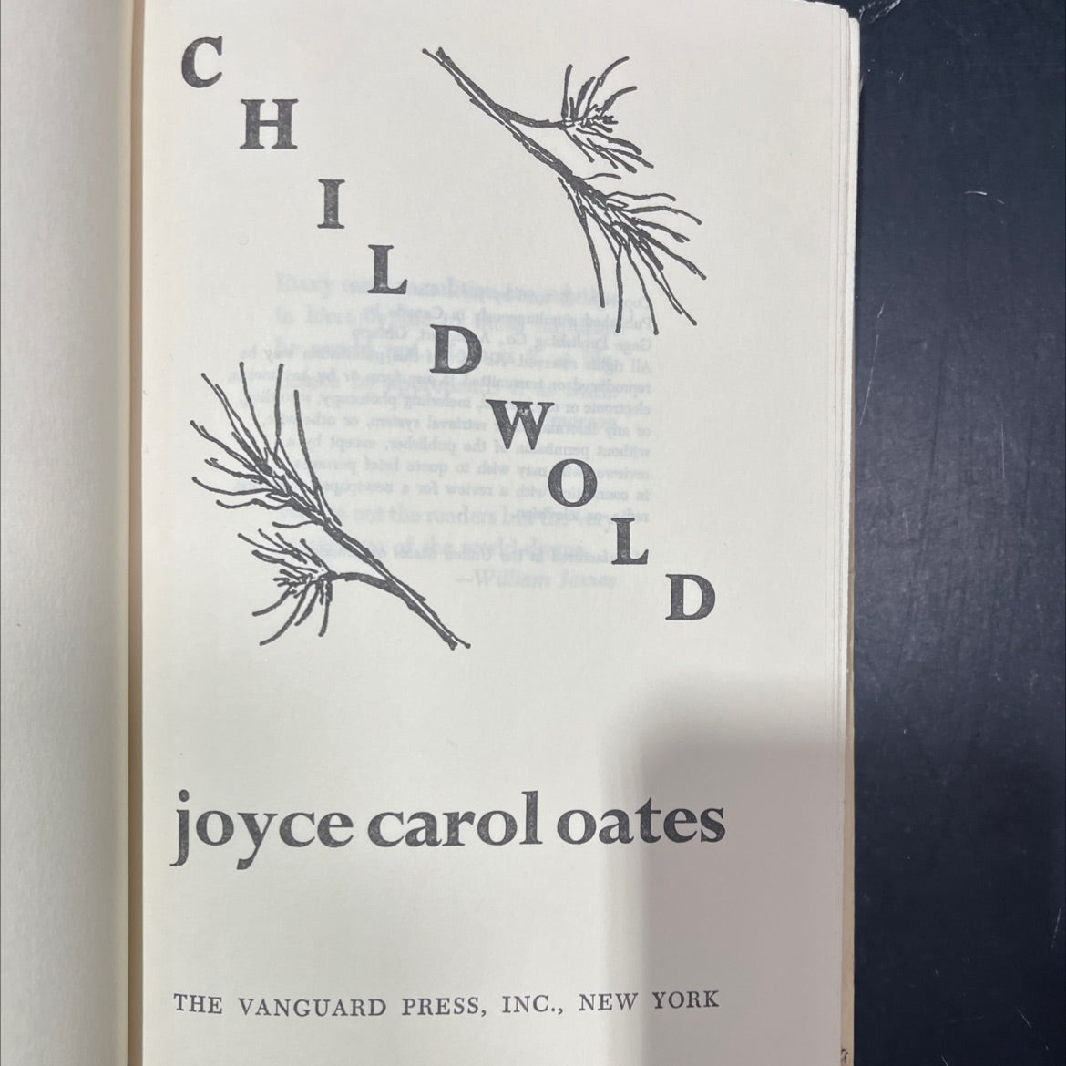 joyce carol oates book, by Joyce Carol Oates, 1976 Hardcover image 2