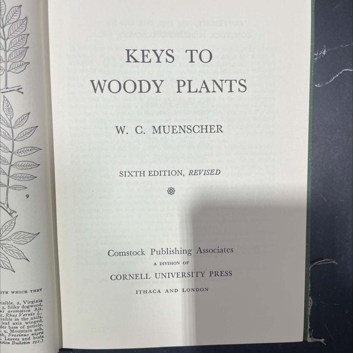 keys to woody plants book, by w. c. muenscher, 1980 Hardcover image 2