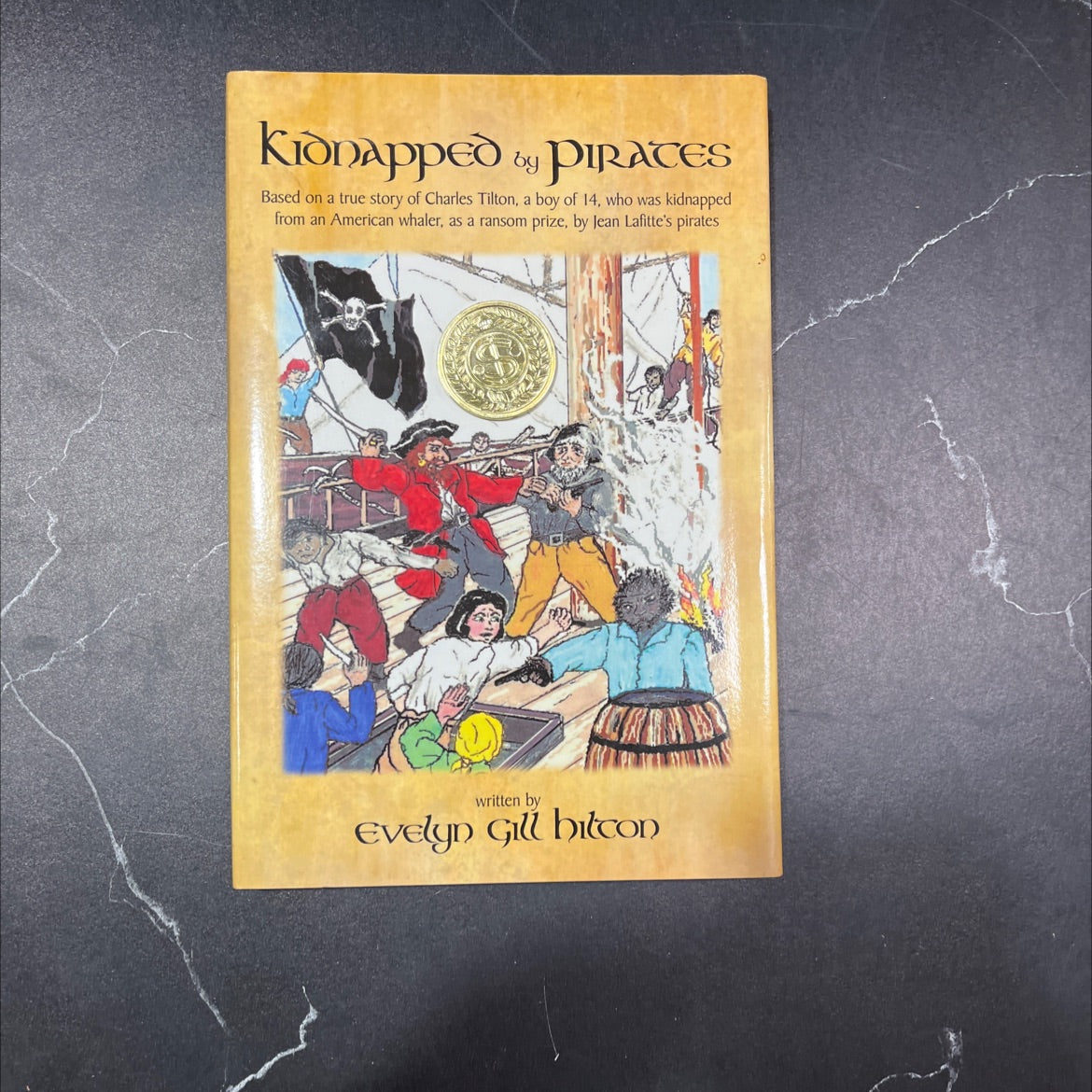 kidnapped by pirates book, by evelyn gill hilton, 2010 Hardcover image 1