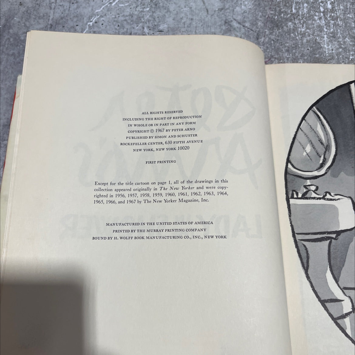 lady the shower book, by peter amos, 1967 Hardcover image 3