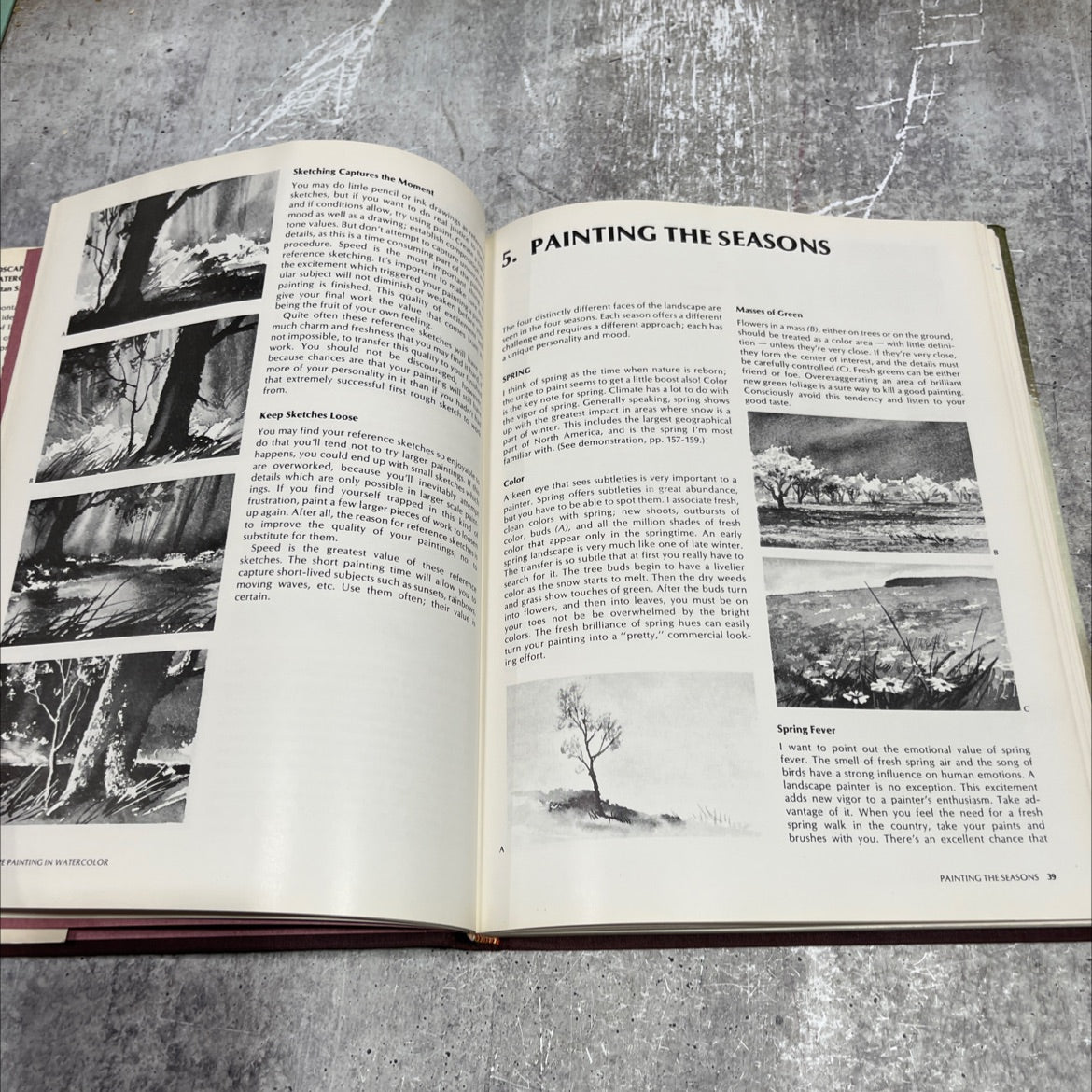 landscape painting in watercolor book, by zoltan szabo, 1973 Hardcover image 4