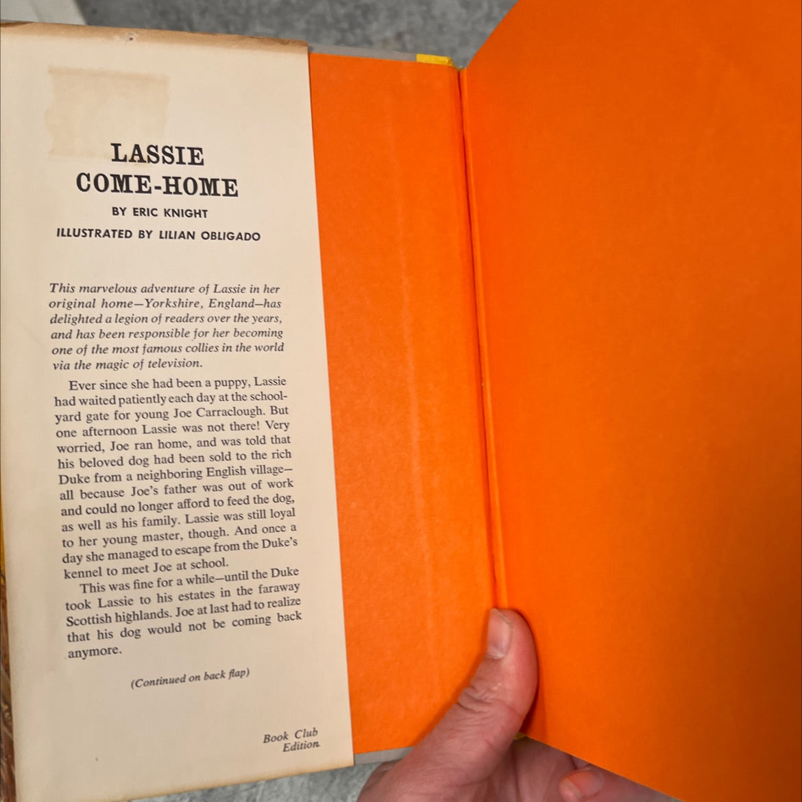 lassie come-home book, by eric knight, 1964 Hardcover image 4