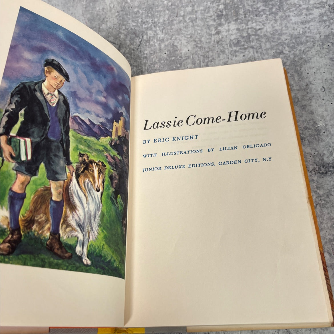 lassie come-home book, by eric knight, 1964 Hardcover image 2