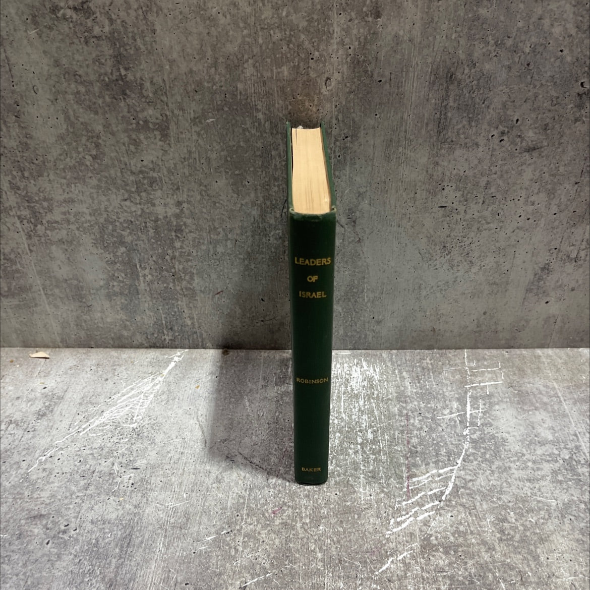 leaders of israel a brief history of the hebrew people from the earliest times to the fall of jerusalem, a. d. 70 book, image 4