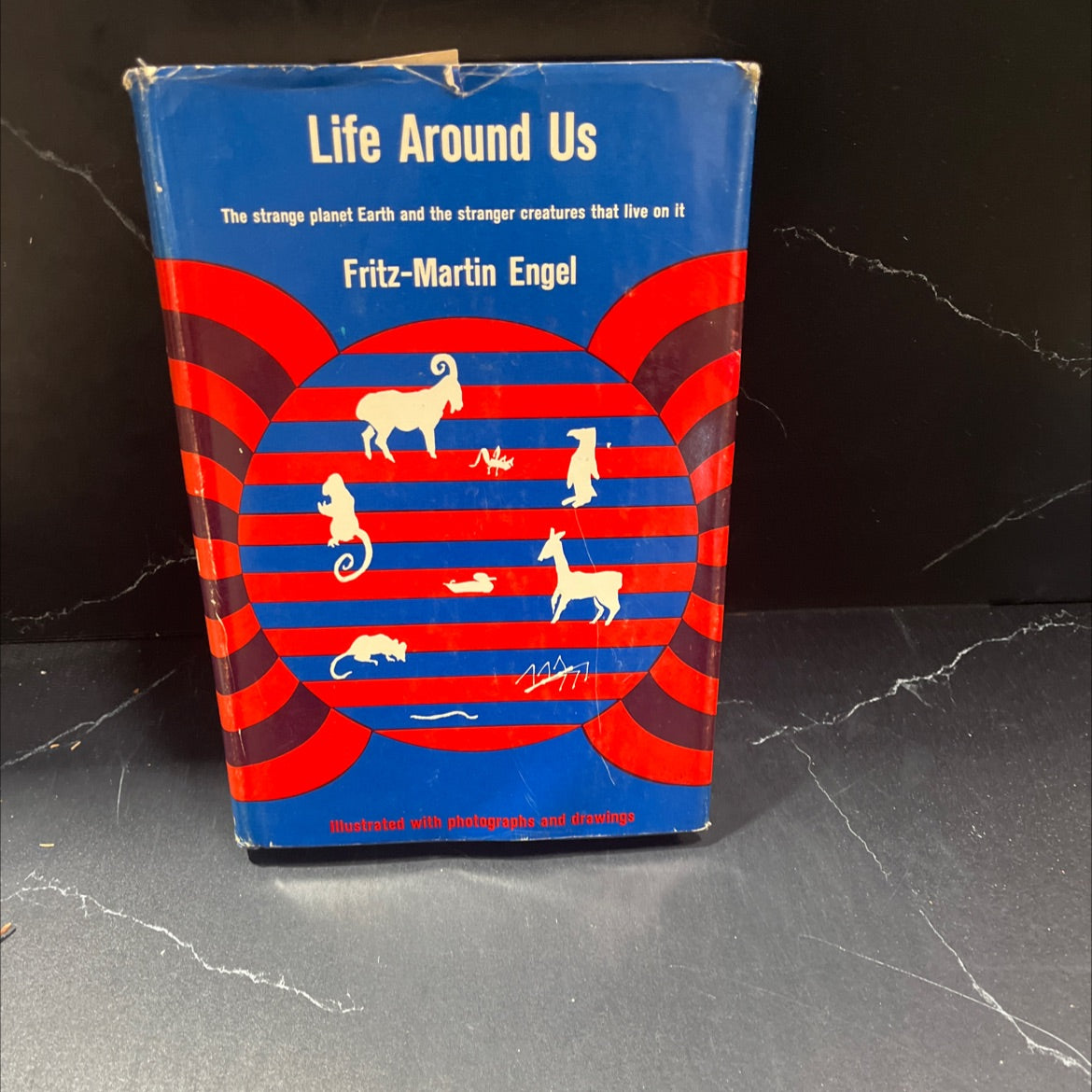life around us book, by fritz-martin engel, 1965 Hardcover image 1