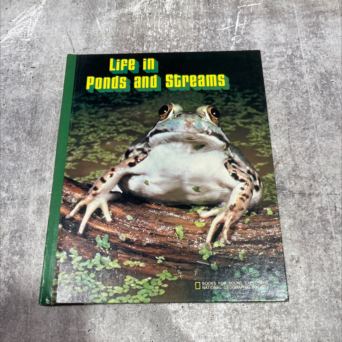 life in ponds and streams book, by William H. Amos, 1981 Hardcover image 1