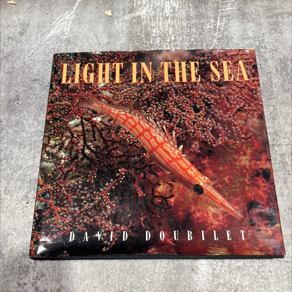 light in the sea book, by David Doubilet, 1989 Hardcover image 1