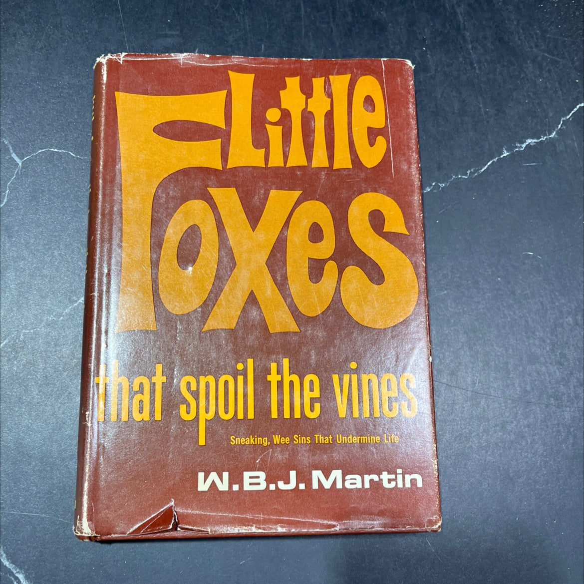 little foxes that spoil the vines book, by w. b. j. martin, 1968 Hardcover image 1