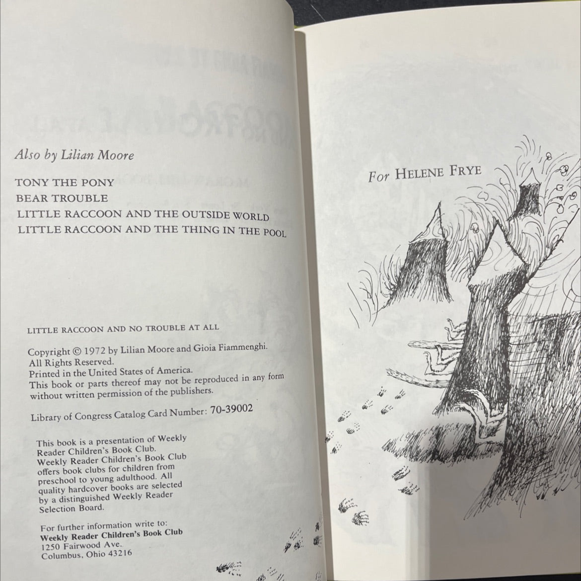 little raccoon and no trouble at all book, by lilian moore, 1972 Hardcover image 3