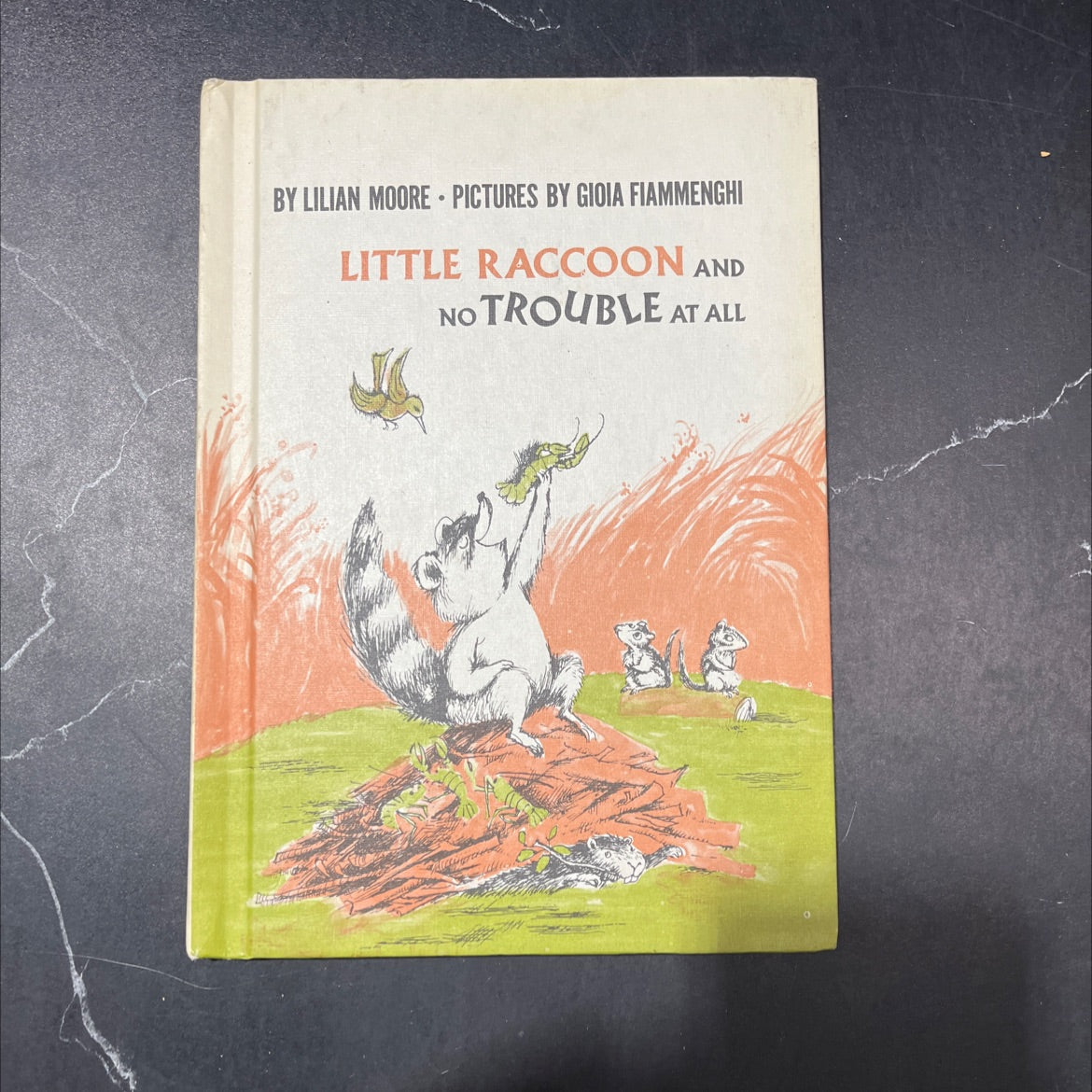little raccoon and no trouble at all book, by lilian moore, 1972 Hardcover image 1
