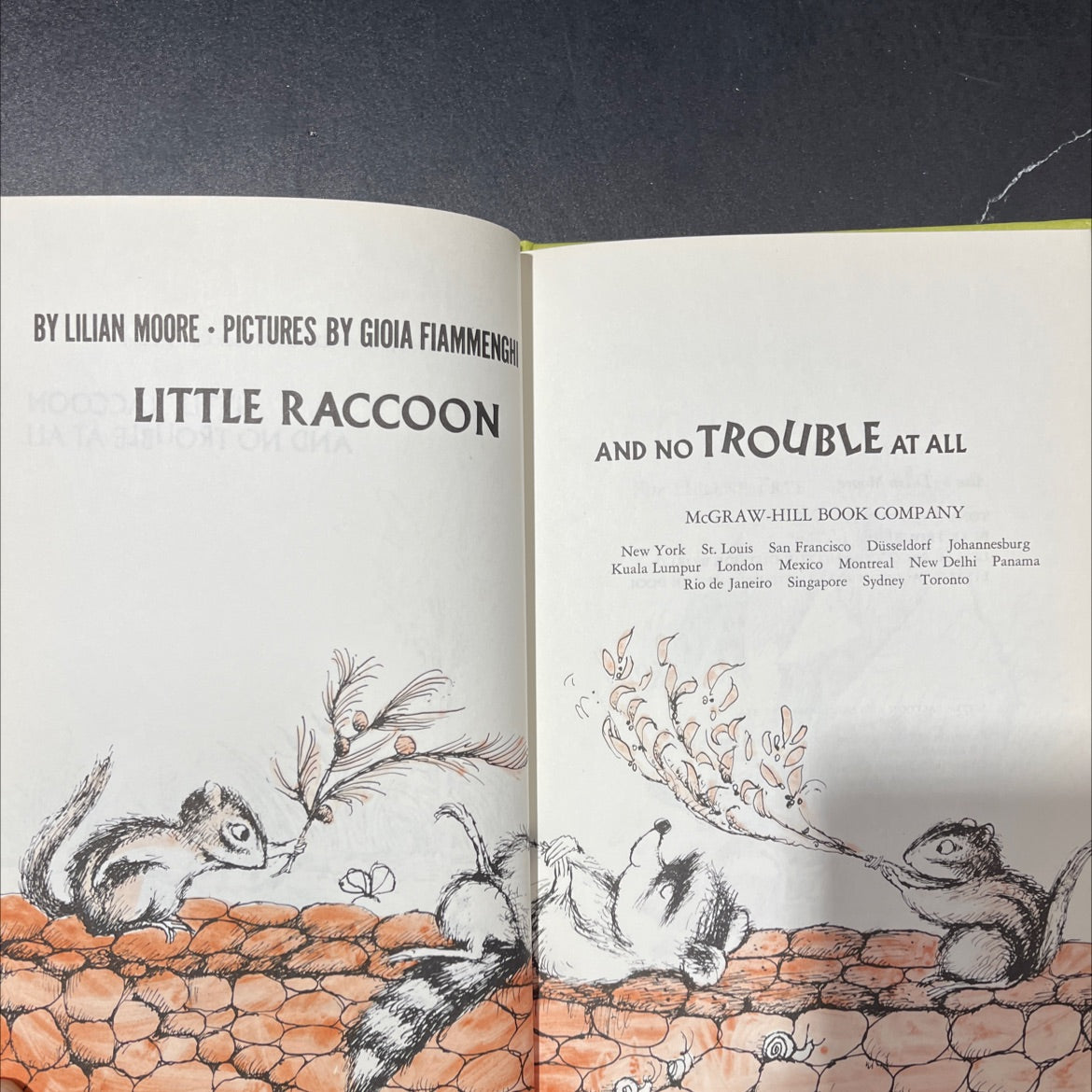 little raccoon and no trouble at all book, by lilian moore, 1972 Hardcover image 2