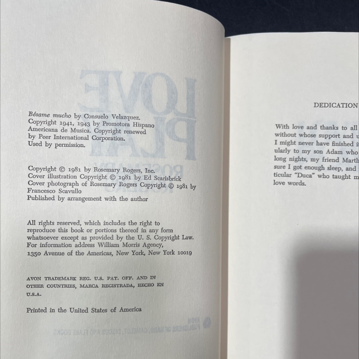 love play book, by rosemary rogers, 1981 Hardcover image 3