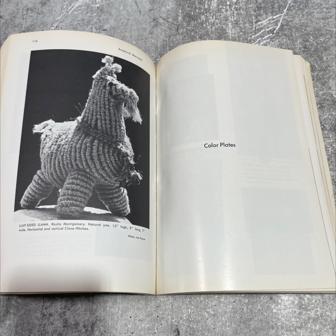 macramé creative design in knotting book, by dona z. meilach, 1979 Paperback image 4