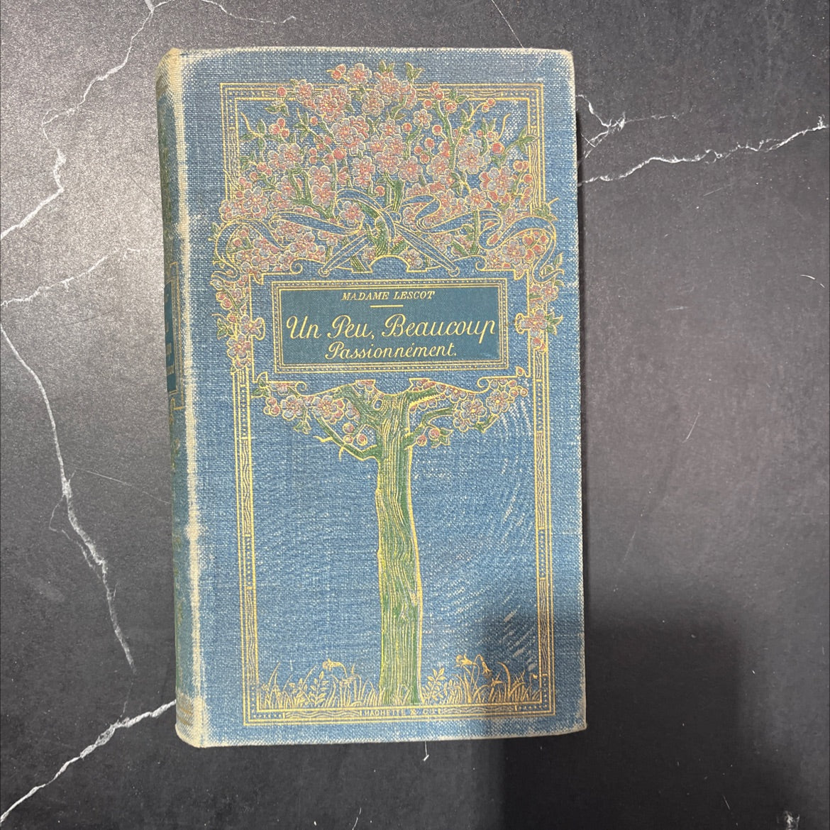 madame lescot un peu beaucoup passionnement book, by unknown, unknown Hardcover image 1