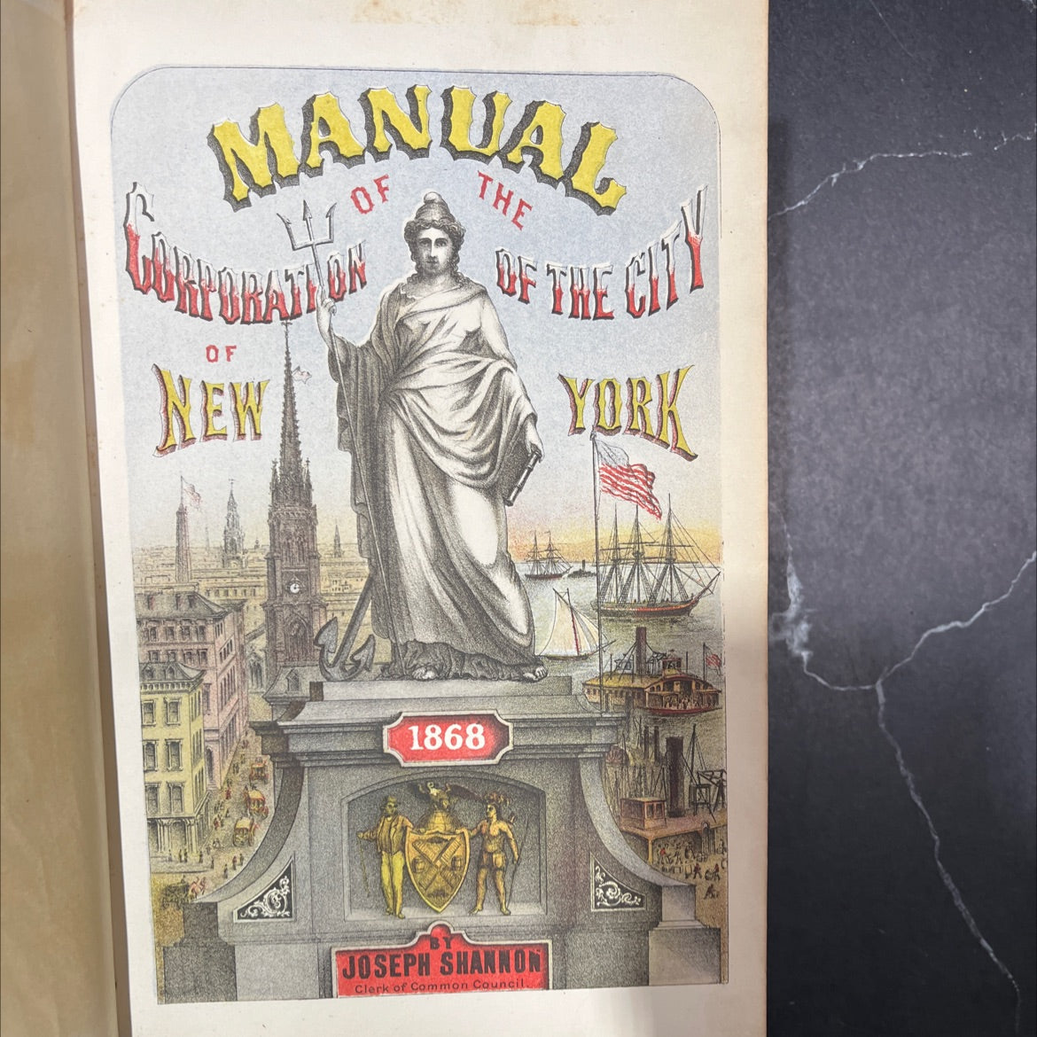 manual 11 of lurioration of new the of the city york book, by joseph shannon, 1869 Leather, Rare, Antique image 2