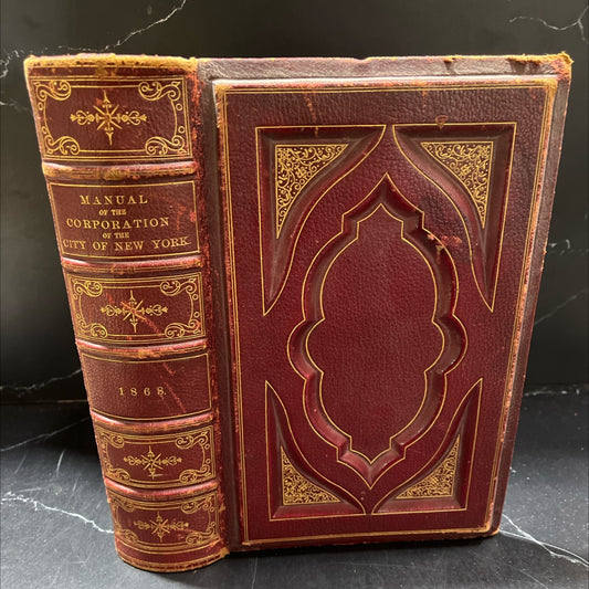 manual 11 of lurioration of new the of the city york book, by joseph shannon, 1869 Leather, Rare, Antique image 1