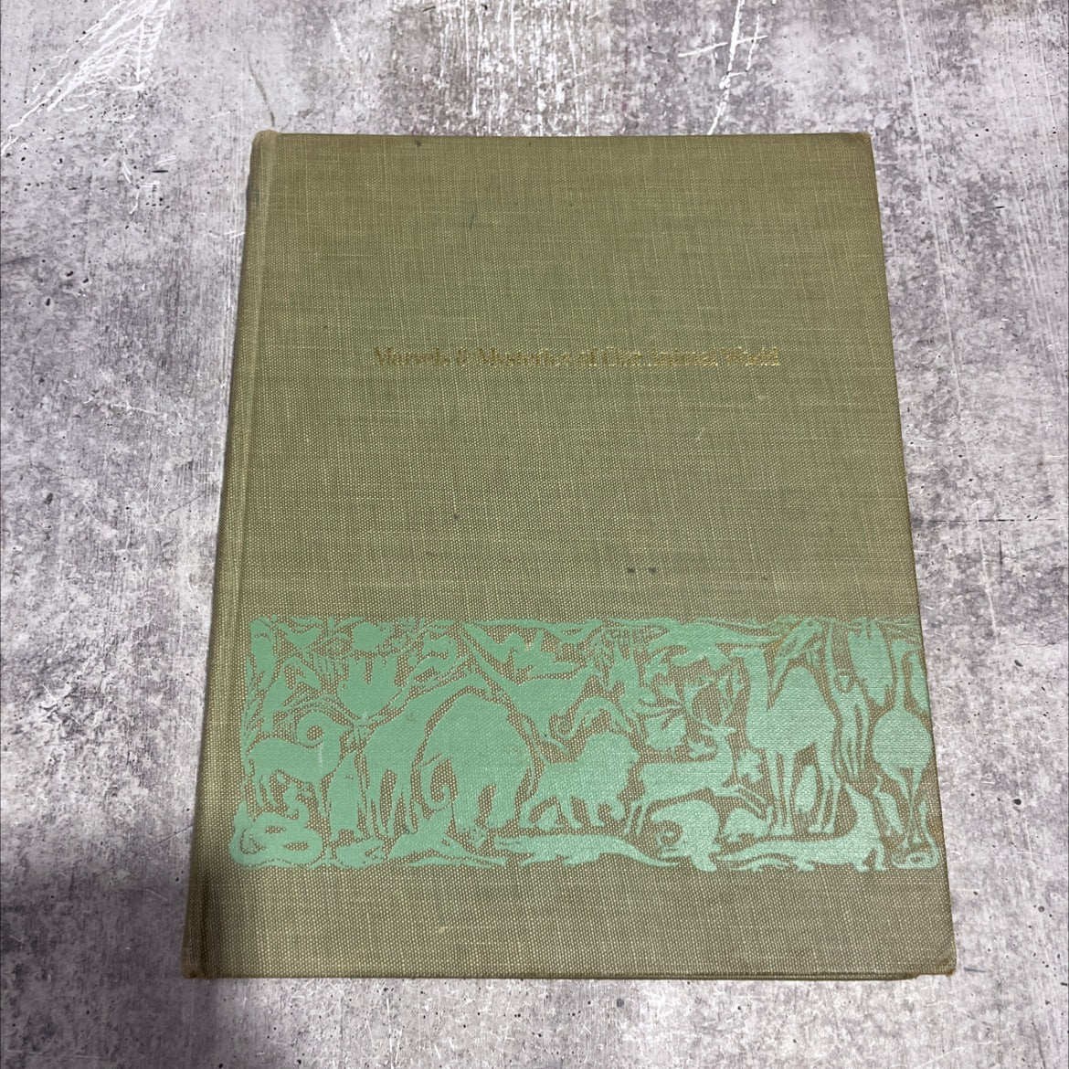 marvels & mysteries of our animal world book, by jean george, 1964 Hardcover image 1