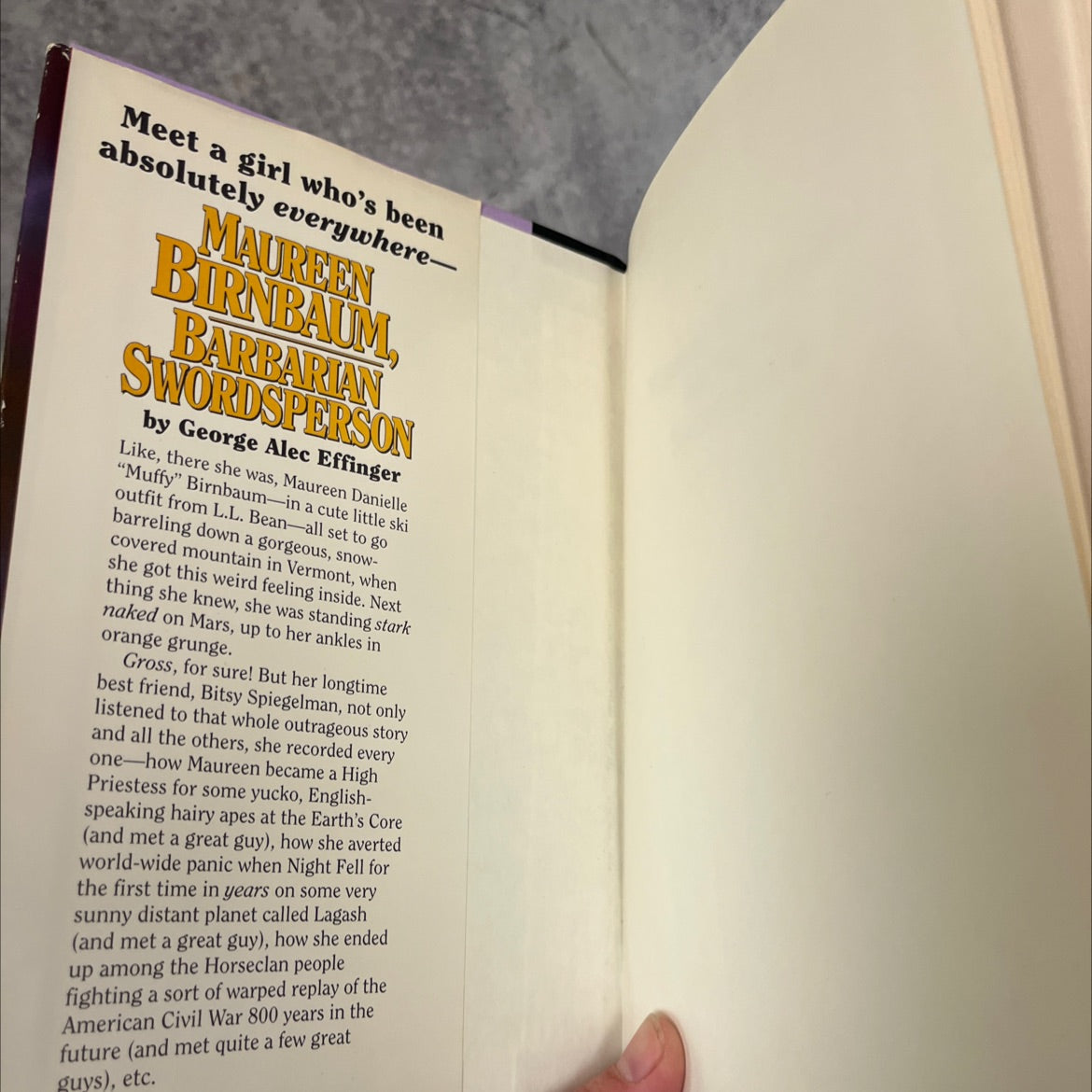 maureen birnbaum, barbarian swordsperson book, by george alec effinger, 1993 Hardcover image 4