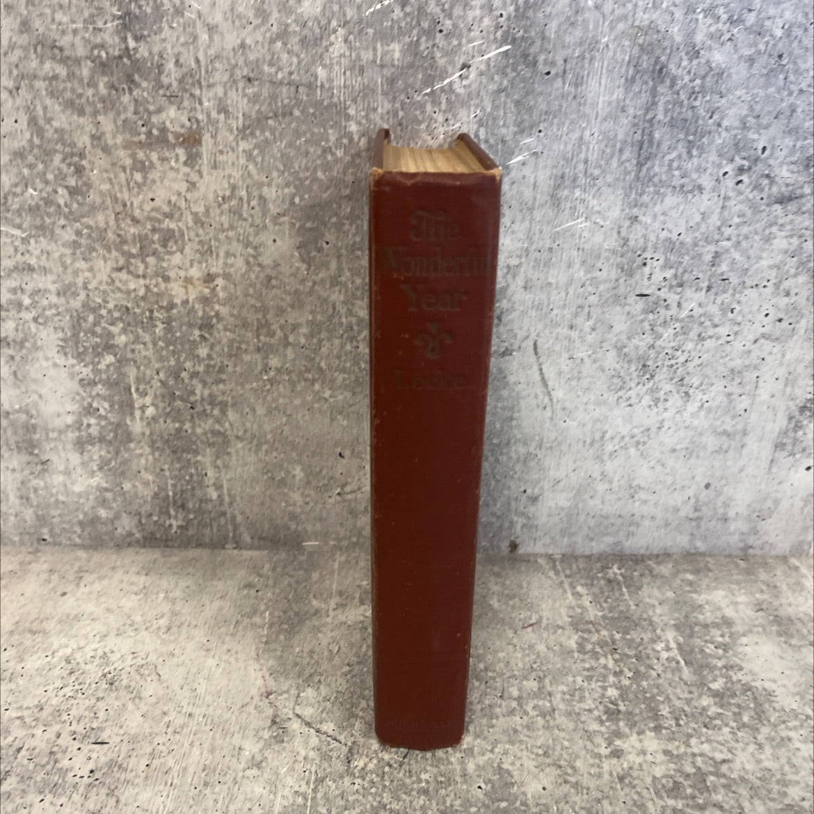 me author the wonderful year book, by william j. locke, 1916 Hardcover image 4