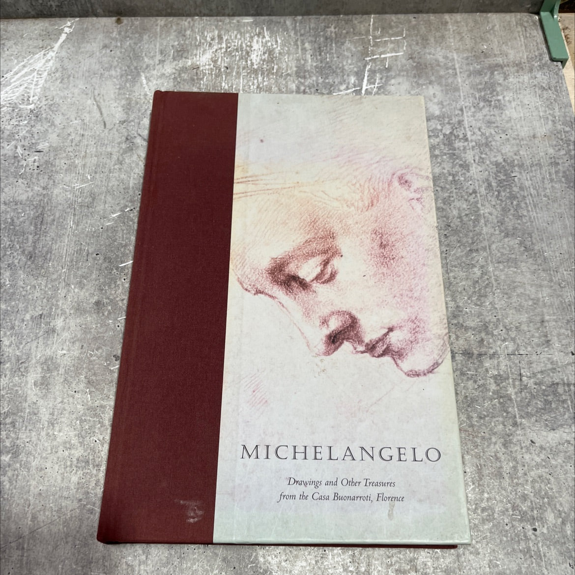 michelangelo: drawings and other treasures from the casa buonarroti, florence book, by pina ragionieri, gary m. radke, image 1