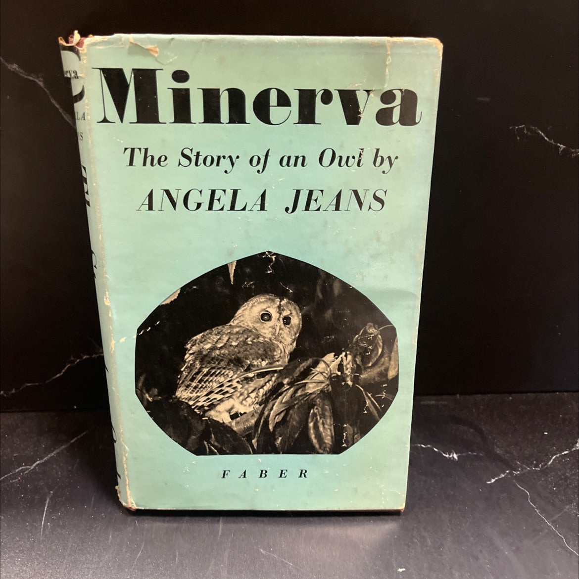 minerva the story of an owl book, by angela jeans, 1956 Hardcover image 1