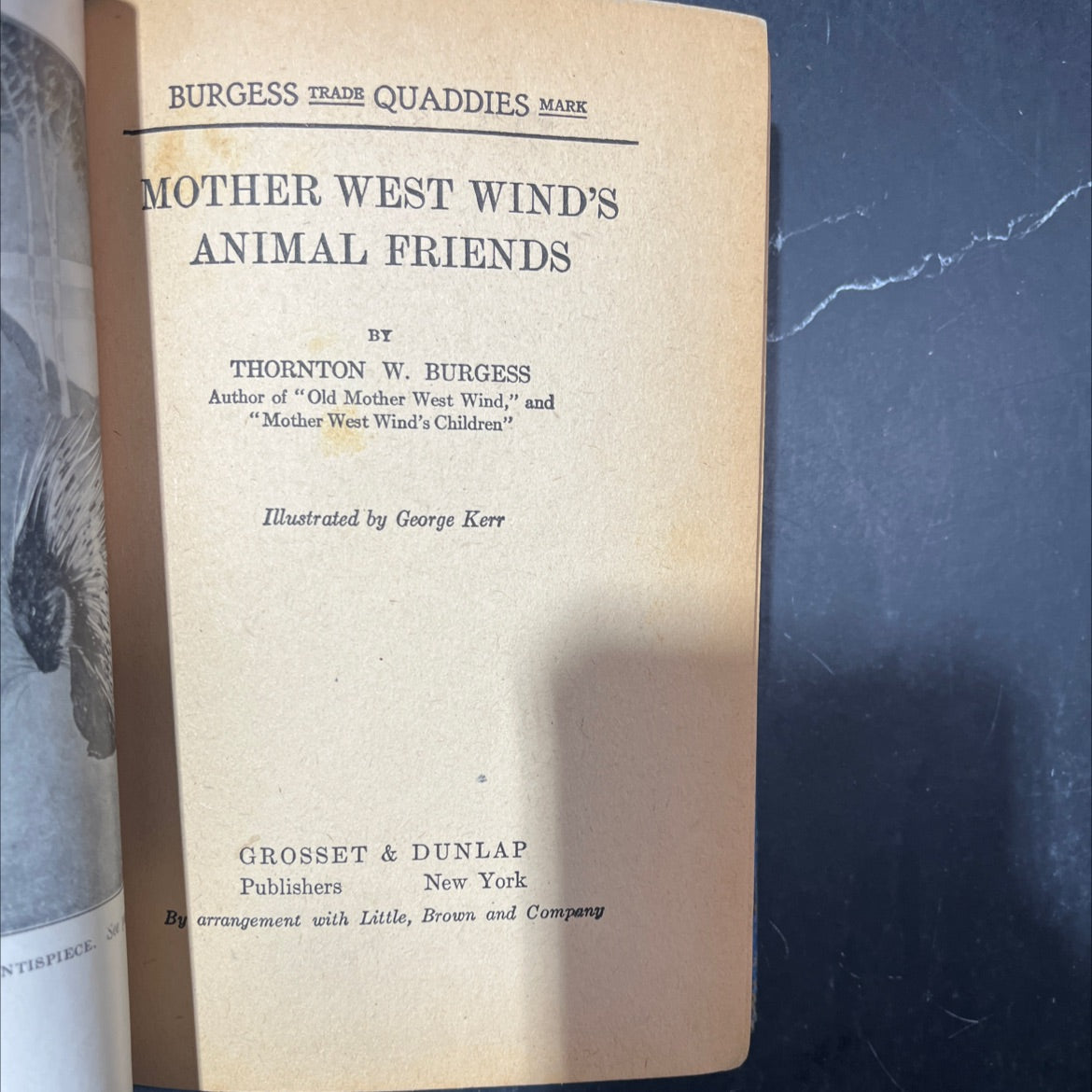 mother west wind's animal friends book, by thornton w. burgess, 1912 Hardcover image 2