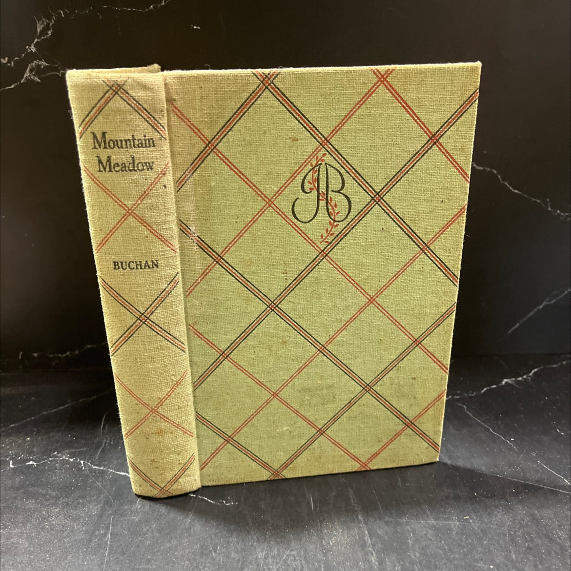 mountain meadow book, by john buchan, 1941 Hardcover image 1