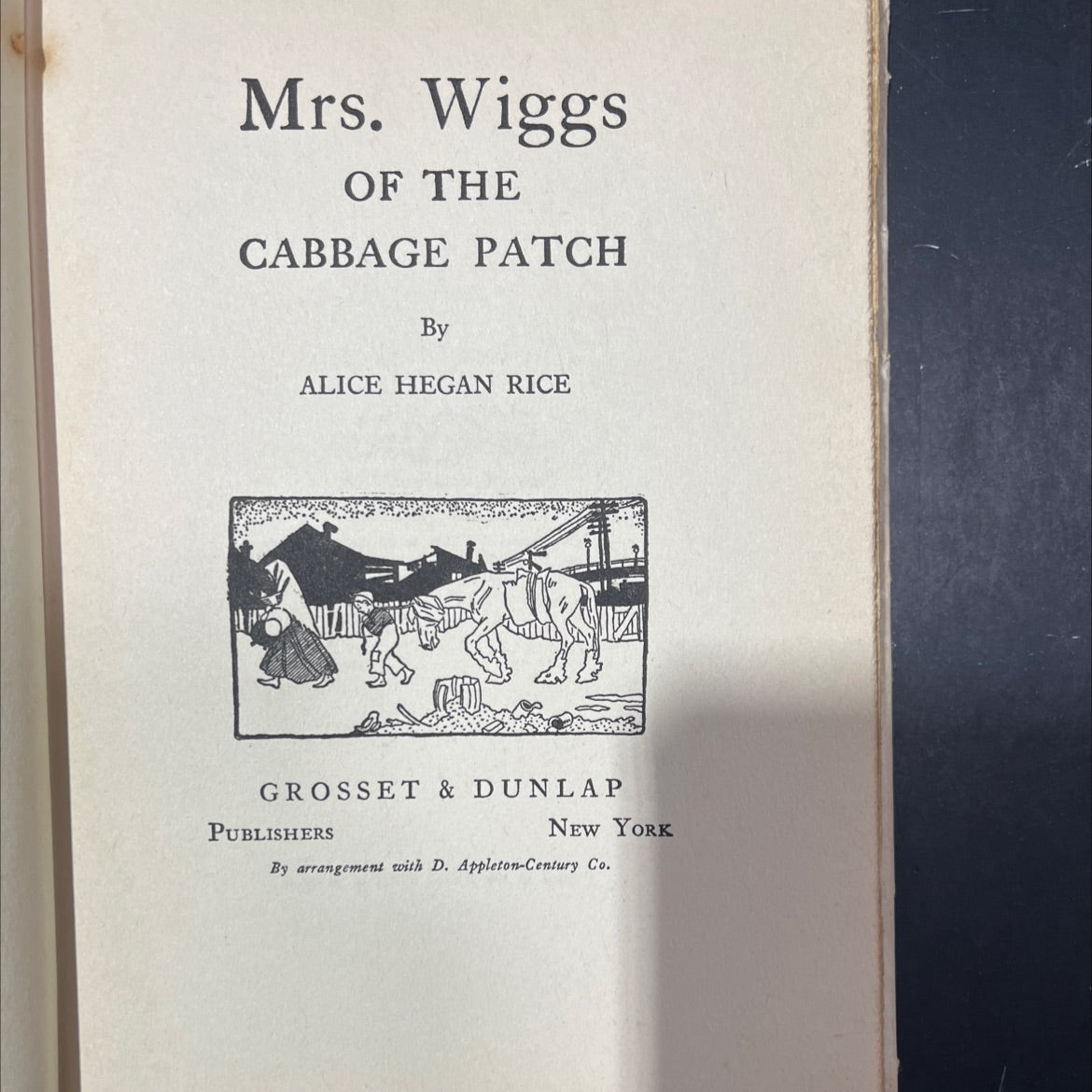 mrs. wiggs of the cabbage patch book, by alice hegan rice, 1928 Hardcover image 2