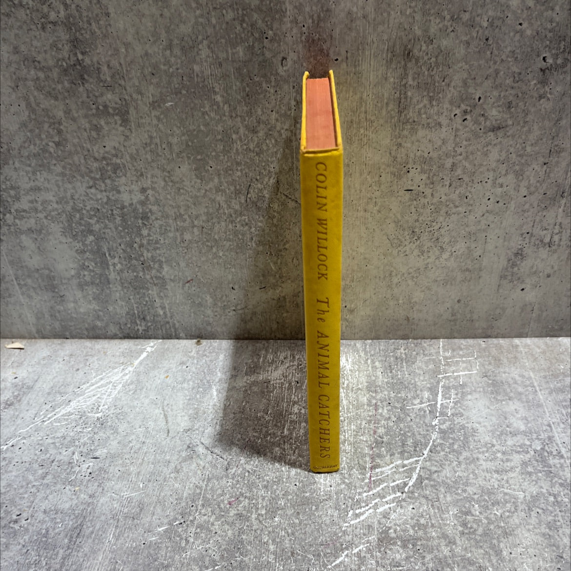 mt ma hotas the a animal catchers book, by colin willock, 1964 Hardcover image 4