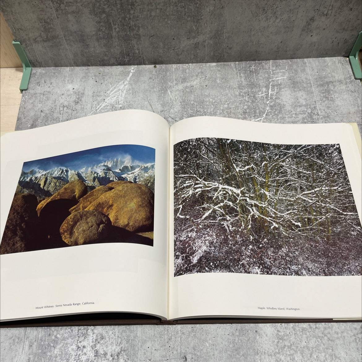 nature's america book, by david muench, 1984 Hardcover image 4