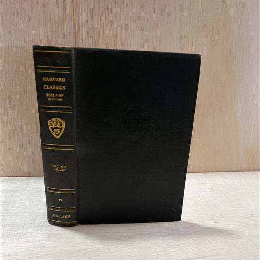 notre dame de paris book, by victor marie hugo, 1917 Hardcover, Antique image 1