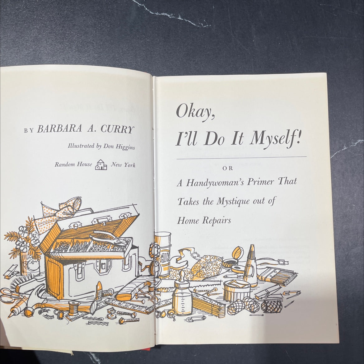 okay, i'll do it myself! or a handywoman's primer that takes the mystique out of home repairs book, by barbara a. image 2