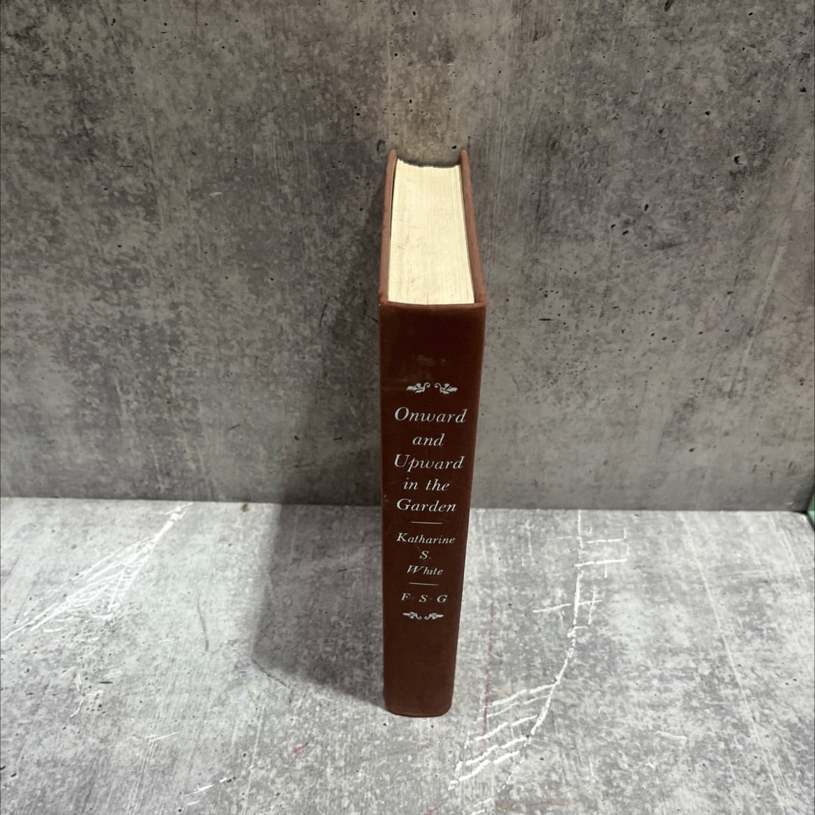 onward and upward in the garden book, by Katharine S. White, 1979 Hardcover image 4