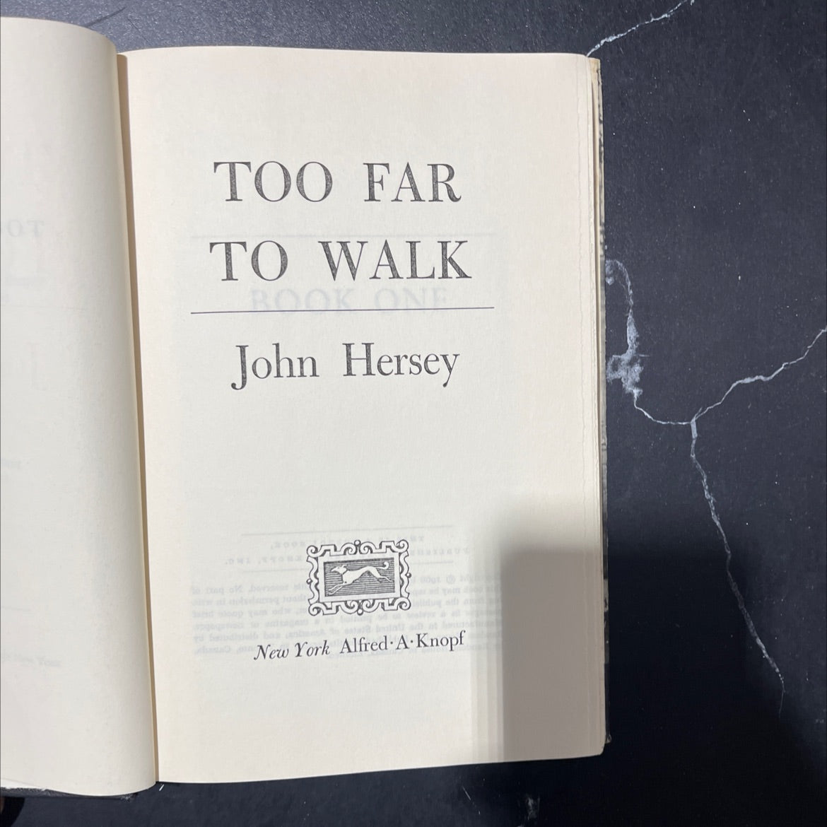 ot too far to walk book one book, by John Hersey, 2008 Hardcover image 2