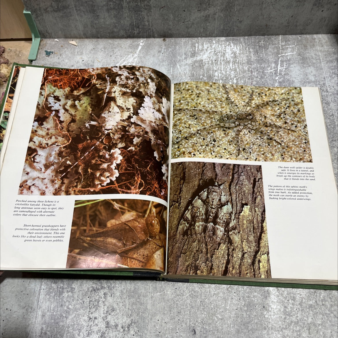 our amazing world of nature its marvels & mysteries book, by unknown, 1969 Hardcover image 4