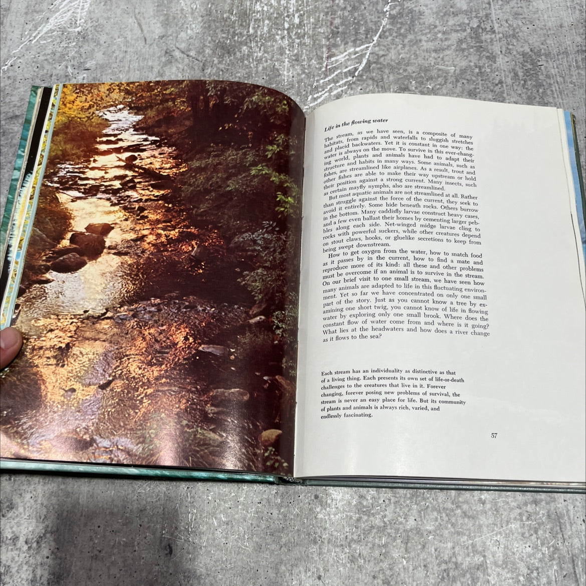 our living world of nature the life of rivers and streams book, by robert l. usinger, 1970 Hardcover image 4