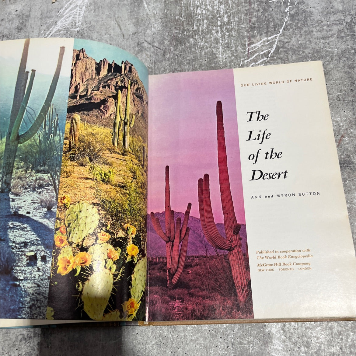 our living world of nature the life of the desert book, by ann and myron sutton, 1966 Hardcover image 2