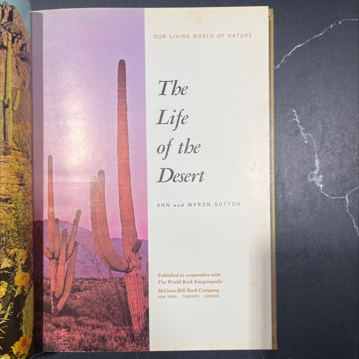 our living world of nature the life of the desert book, by ann and myron sutton, 1966 Hardcover image 2