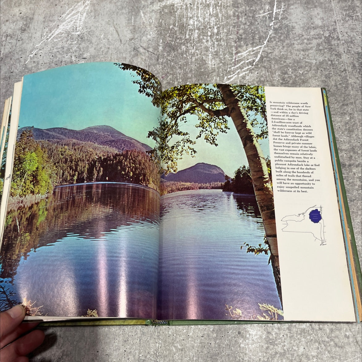 our living world of nature the life of the mountains book, by maurice brooks, 1967 Hardcover image 4