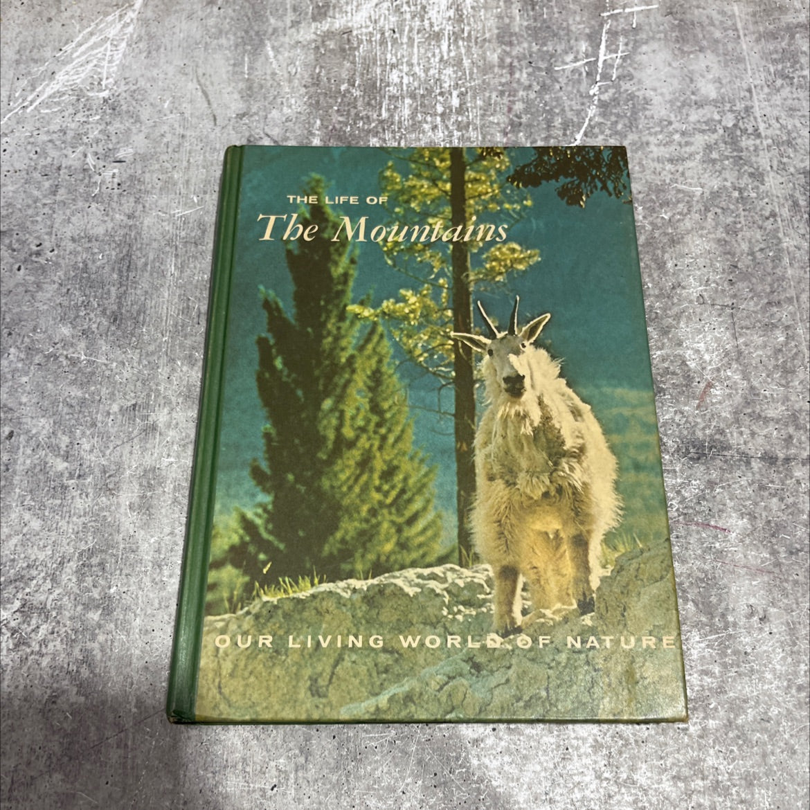 our living world of nature the life of the mountains book, by maurice brooks, 1967 Hardcover image 1