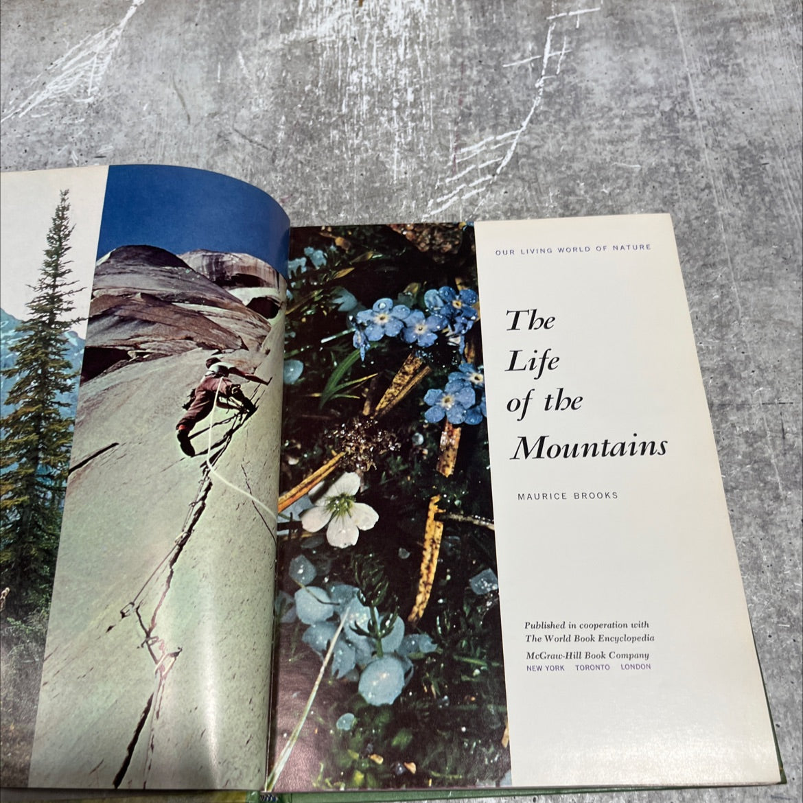 our living world of nature the life of the mountains book, by maurice brooks, 1967 Hardcover image 2